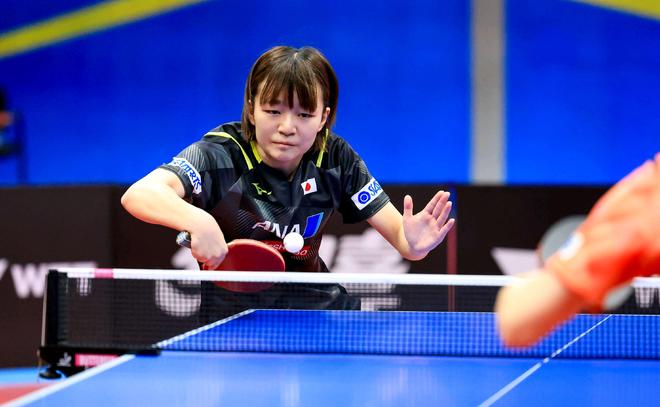 豪门生活未 豪门生活未